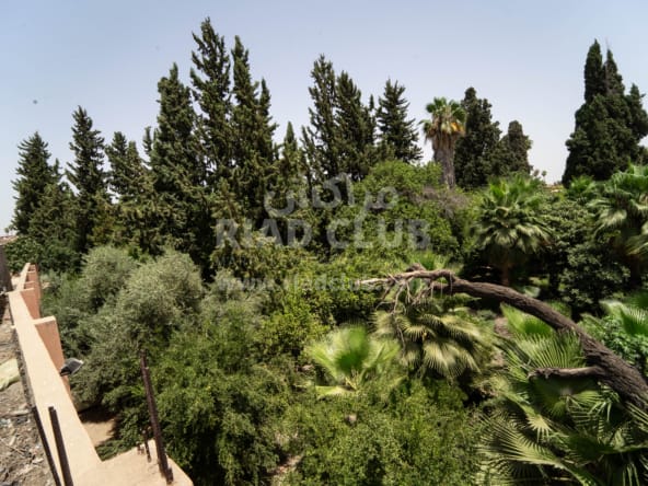 Medina Plot for sale - El Ksour Garden view
