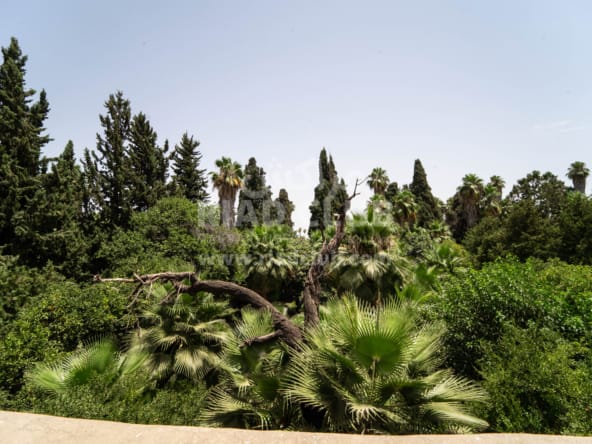 Medina Plot for sale - El Ksour Garden view