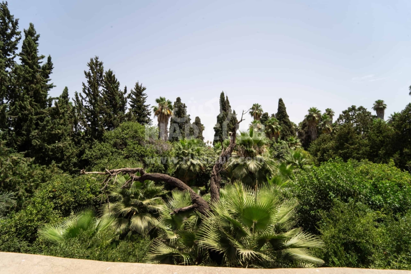 Medina Plot for sale - El Ksour Garden view